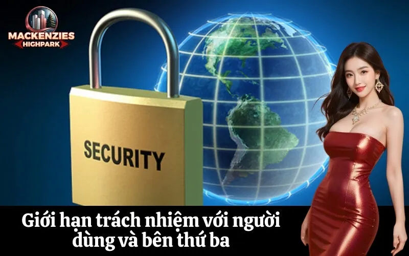 Giới hạn trách nhiệm với người dùng và bên thứ ba